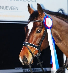 paardje